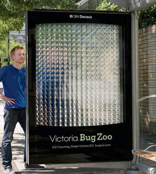 Креативна реклама міні-зоопарку комах