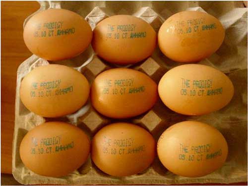 рекламний текст на яйцях
