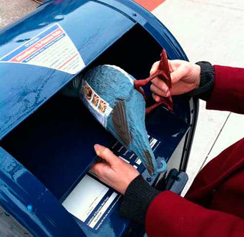 голубина пошта