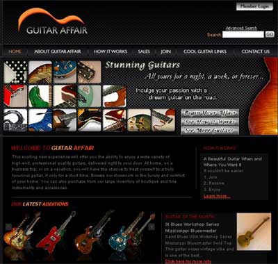 Бізнес ідея: профессинальные гітари в оренду
