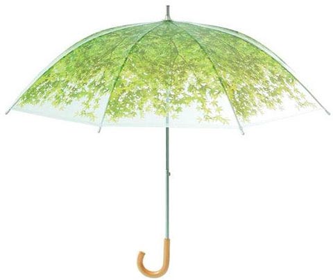 парасольку-сонячне світло