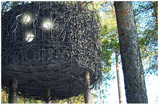 Готель-гніздо на дереві