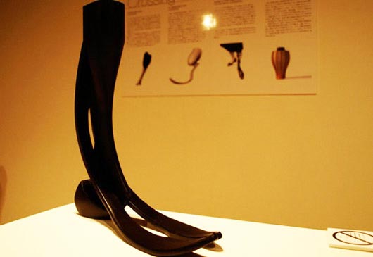 Японський промисловий дизайнер і професор Університету Кейо Сінья Яманака (Shunji Yamanaka) розробив і створив концептуально новий ножний протез, що втілює, за його словами, «скелетизированную структуру дизайну». 