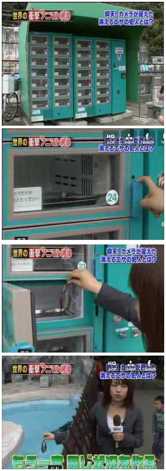Автомат з продажу риби