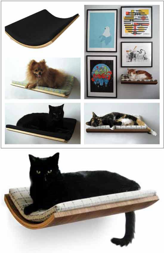 Ідея бізнесу на домашніх вихованців: настінні ліжка для кішок