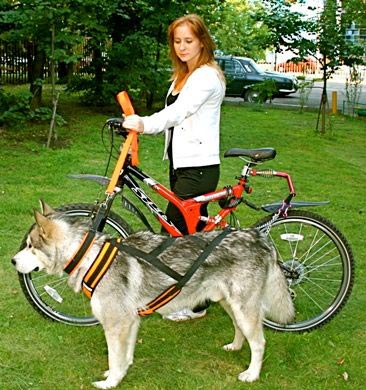 Велосипедне сідло для перевезення собак