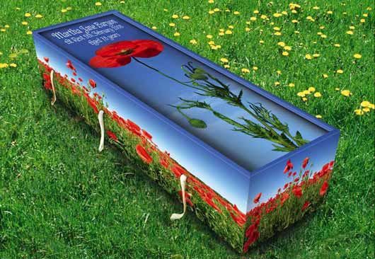 Через економічного виробництва і недорогих матеріалів вартість креативного труни з екологічних матеріалів Creative Coffins невисока.