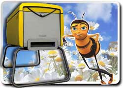 Бізнес ідея № 1320. Бджільництво як хобі для городян