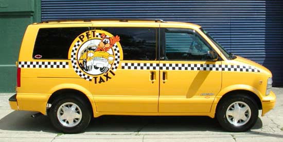Служба таксі для домашніх тварин - для Росії поки незвичайний бізнес.
